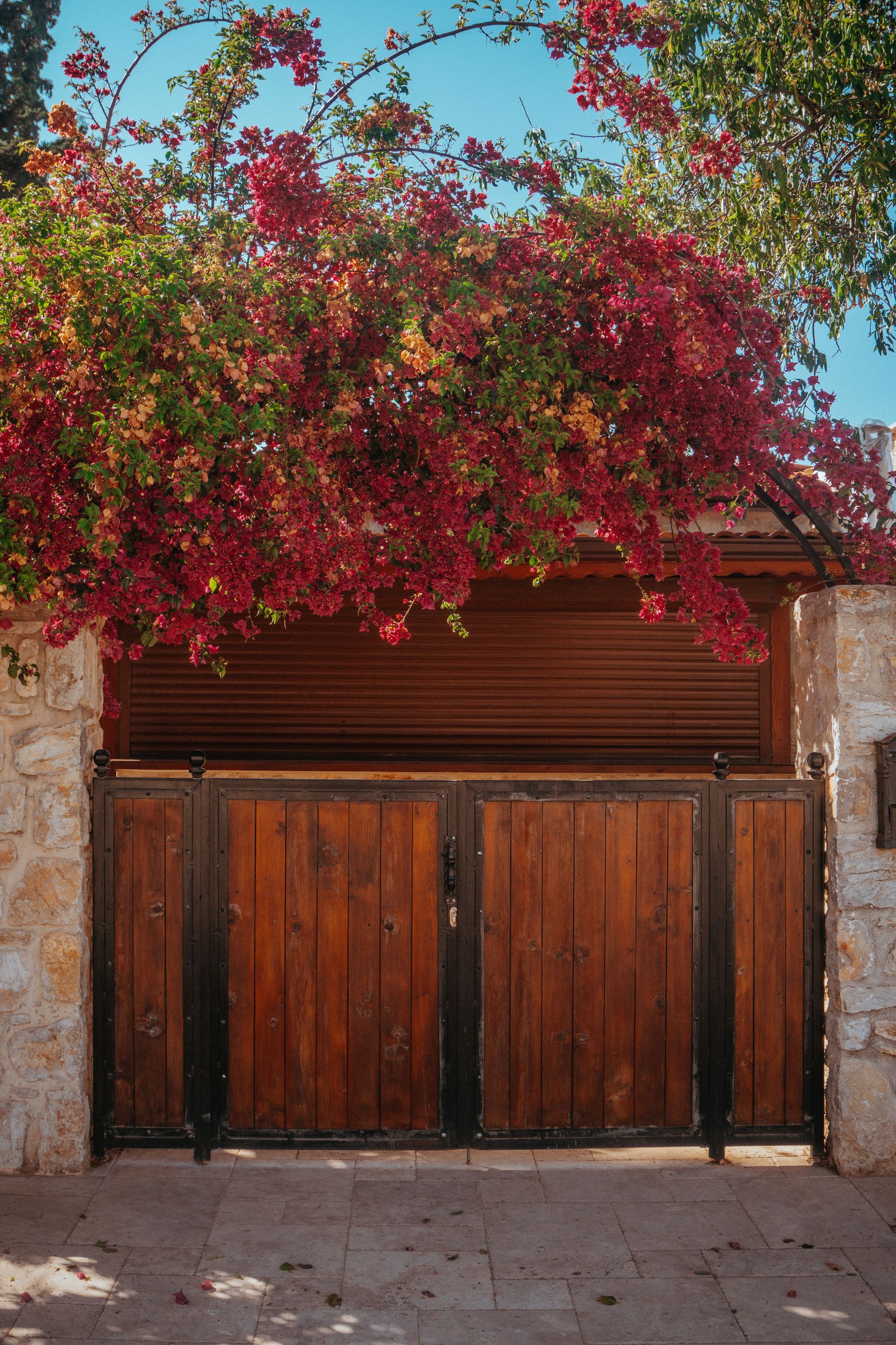Rustic wooden gate adorned with vibrant blossoming flowers, captured in a sunny urban setting.